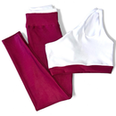 conjunto bicolor academia calça e top alta compressão