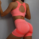 Yoga Suit Yoga Sports Underwear Women's Fitness Suit Vest Running Sports Yoga Shorts Set Yoga Set  Workout Set